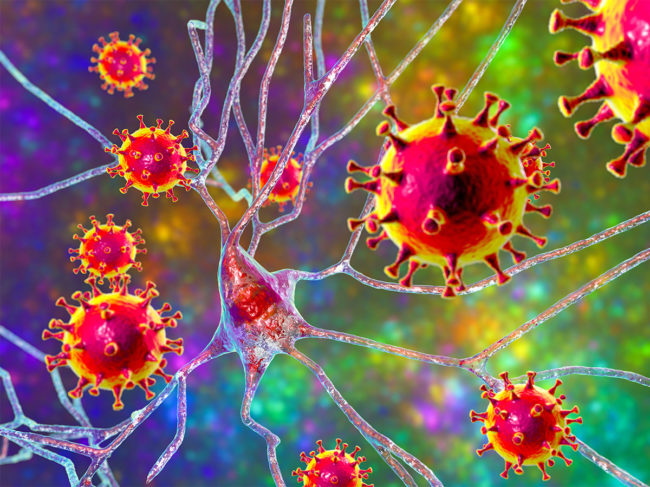 Virus particles attacking neuron