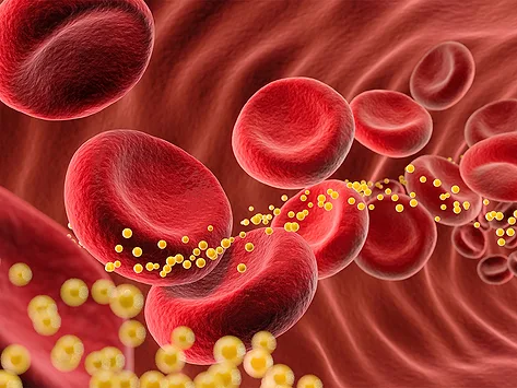Illustration of lipids in the bloodstream