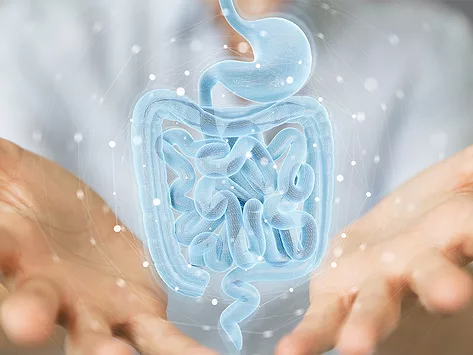 Gastrointestinal research stomach intestines