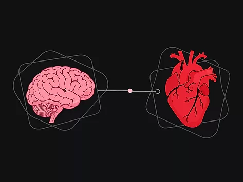 Illustration of heart and brain communicating