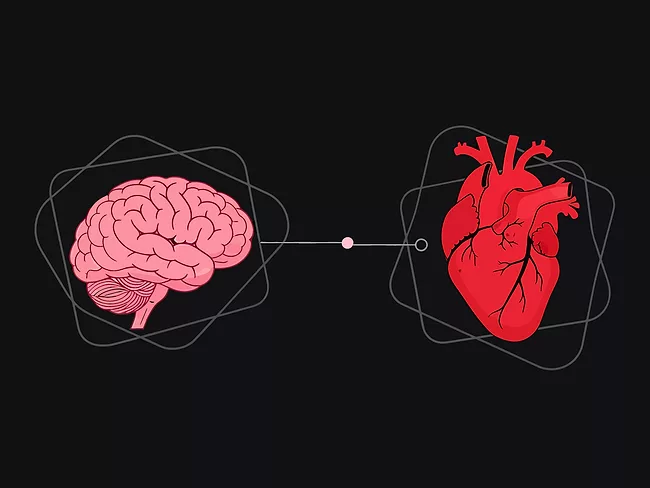Illustration of heart and brain communicating