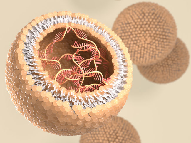 3D rendering of a liposome containing RNA strand