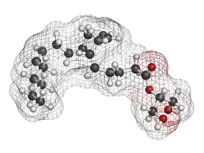 3D rendering of 2-Arachidonoylglycerol (2-AG) endocannabinoid neurotransmitter molecule