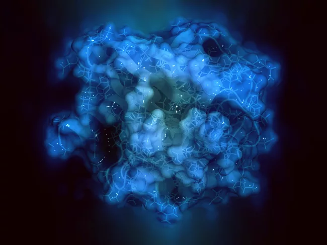 Artistic rendering of the KRAS protein.