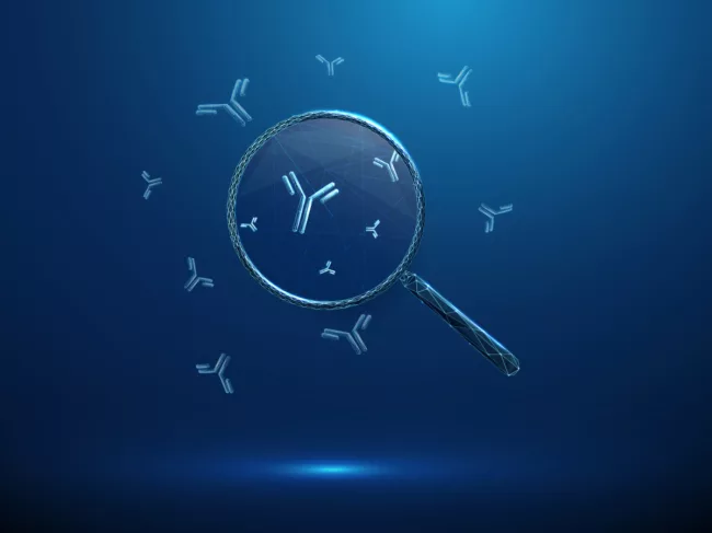 Illustration of magnifying glass and antibodies