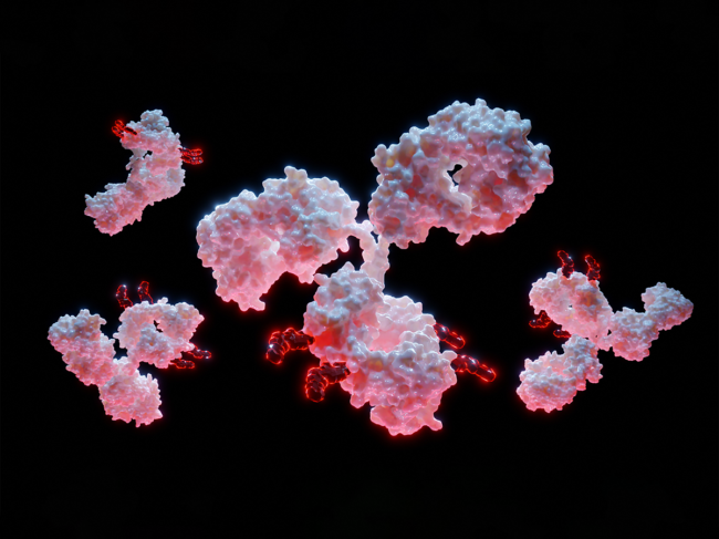 3D illustration demonstrating antibody-drug conjugate.