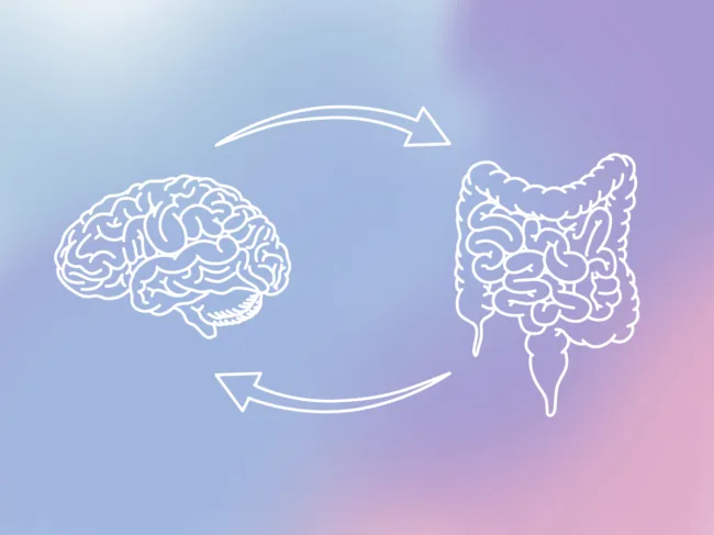 Illustration demonstrating gut-brain axis
