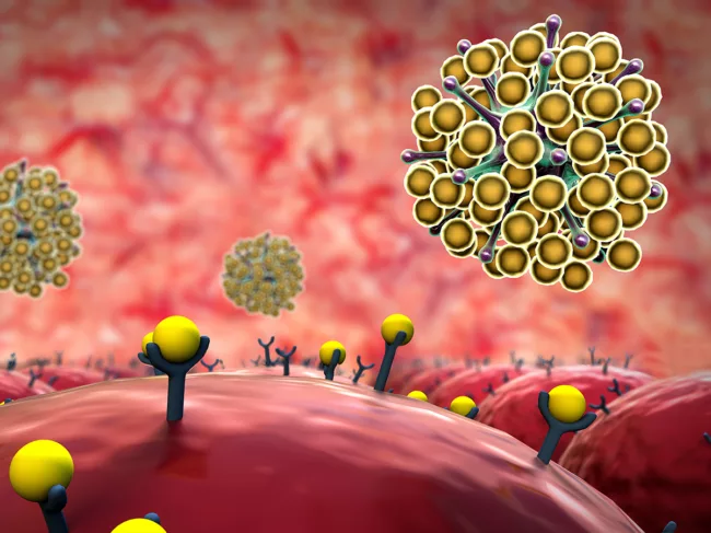 Concept art for cells receptors, inhibitors