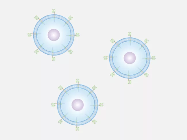 Illustration of CAR T cells