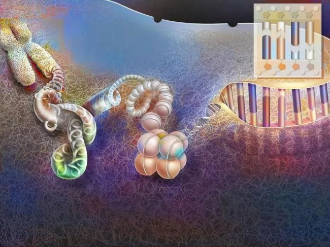 Chromatin compaction