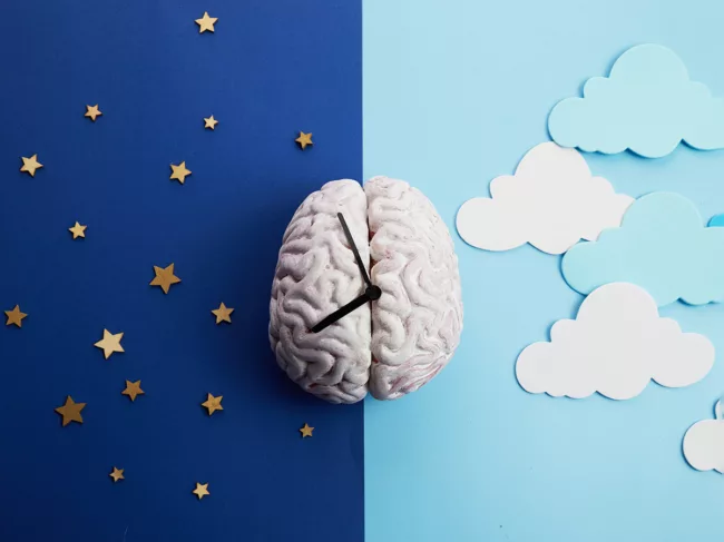 Brain with clock hands, day and night background 