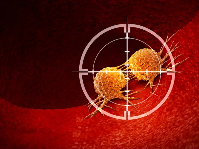 Dividing cancer cells in the cross hairs