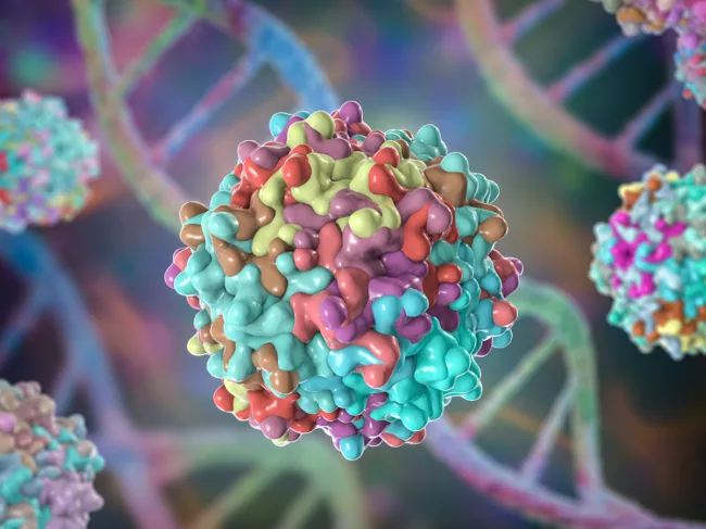 Concept art for adeno-associated viral-based gene therapy.