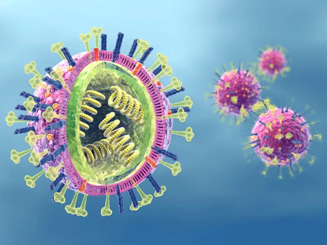 Influenza viruses with RNA, surface proteins hemagglutinin and neuraminidase