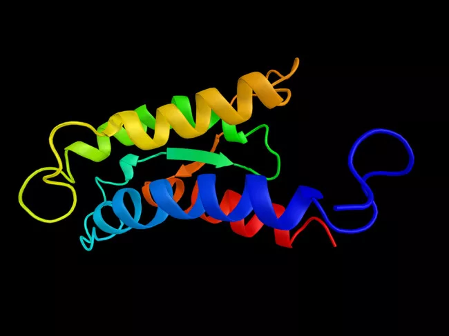 Illustration of interleukin-2 protein structure
