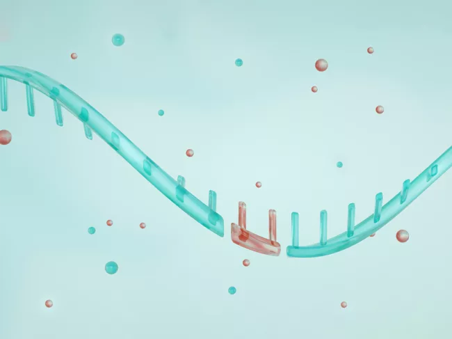 Illustration of messenger RNA