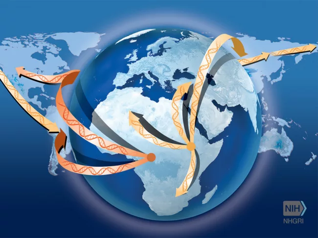 Illustration of globe with DNA moving out of Africa