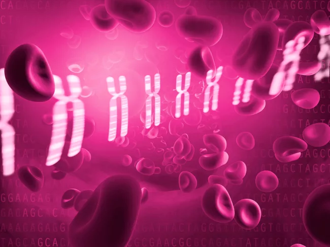 Illustration of chromosomes, red blood cells.