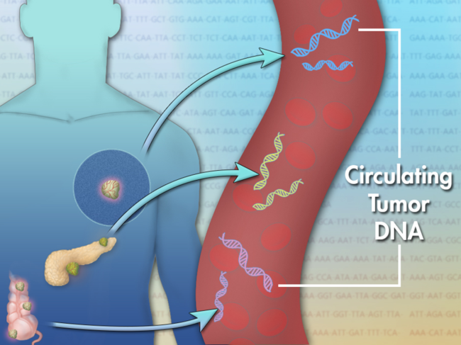 Concept illustration of cell-free circulating tumor DNA.