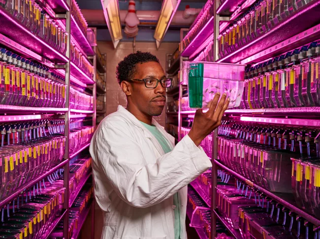 Kevin Bishop, of NIH, holds up a tank of zebrafish.