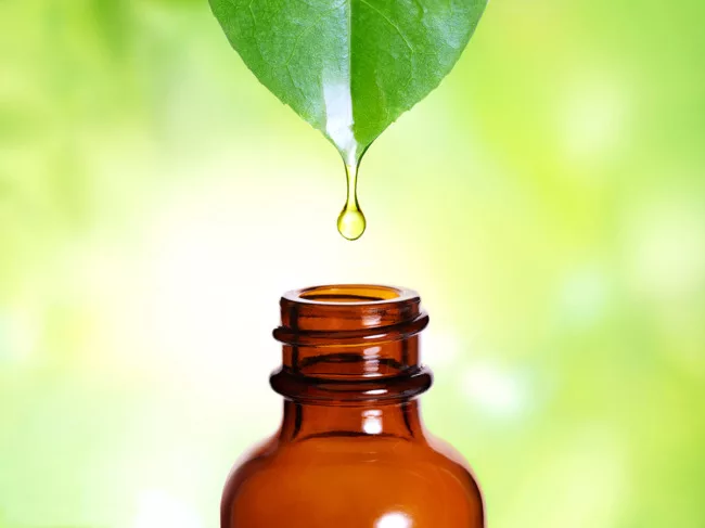 Oil drop dripping from plant leaf to tincture bottle