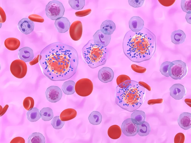 Illustration of triple-negative breast cancer cells