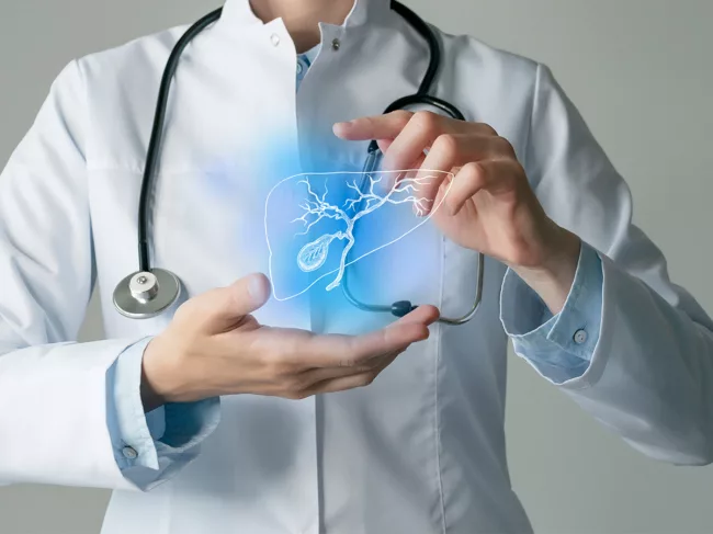 Illustration of liver and gall bladder with doctor