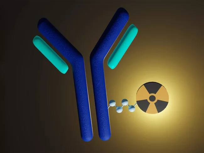 Illustration of antibody carrying radioactive isotope