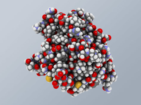 3D illustration of the Anakinra molecular structure