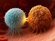 Computer visualization of a CAR T cell attacking a cancer cell.