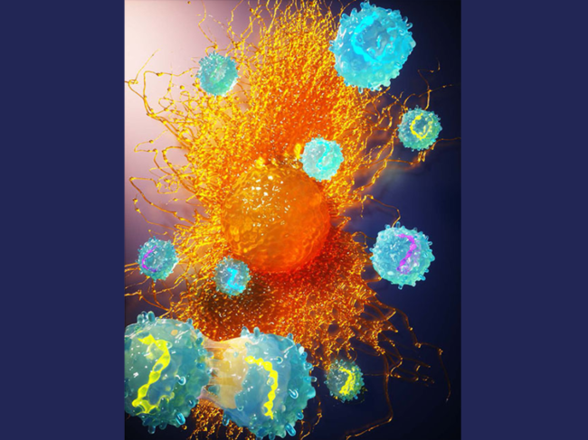 Illustration of engineered T cells and tumor cell