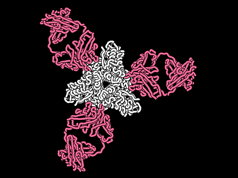 Rendering of a key measles protein targeted by neutralizing human antibodies