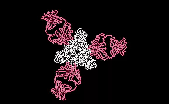 Rendering of a key measles protein targeted by neutralizing human antibodies