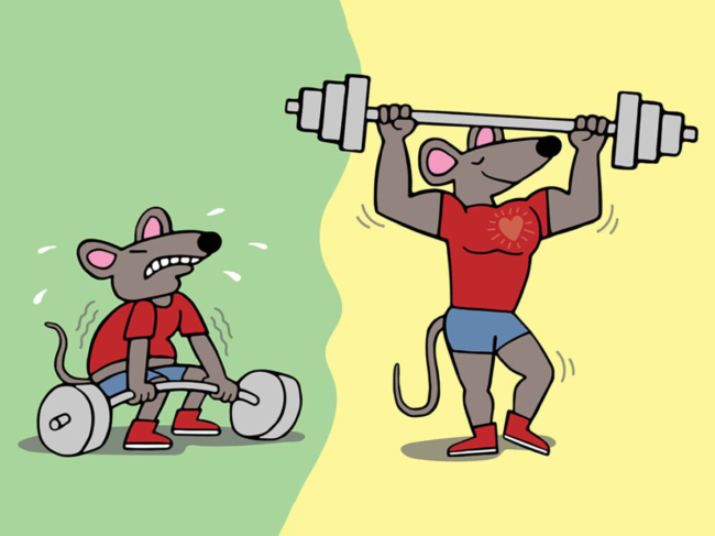 Illustration of weak, strong mice lifting weights.