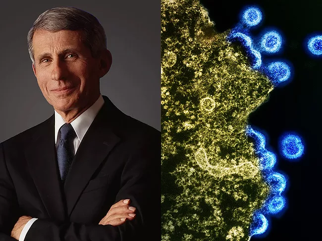 Left: Anthony Fauci. Right: Transmission electron micrograph of HIV-1 virus particles 