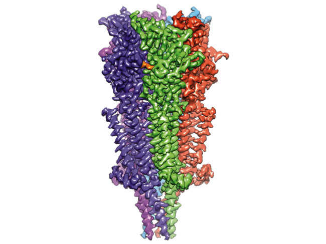 3D illustration of serotonin receptor 2