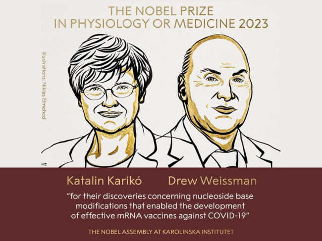 Nobel Prize graphic with illustrations of Katalin Karikó and Drew Weissman