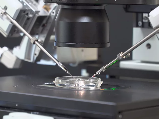 Gene editing of human embryos