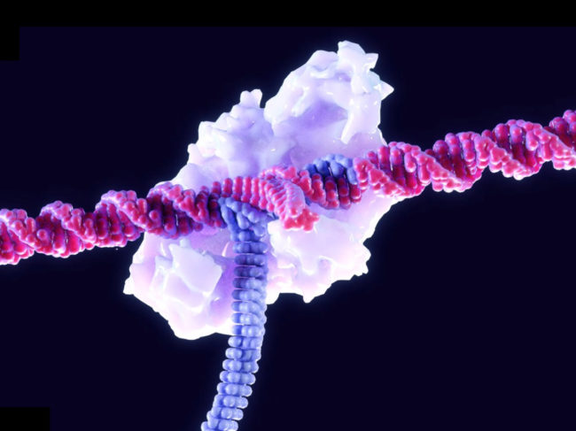 RNA gene writer
