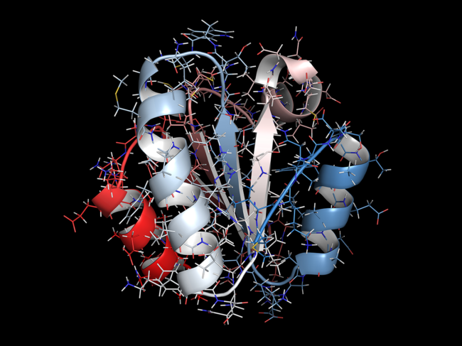 3D illustration of thioredoxin antioxidant enzyme