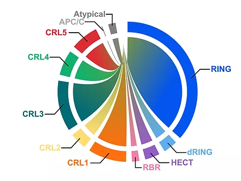 Illustration of the E3-ome atlas