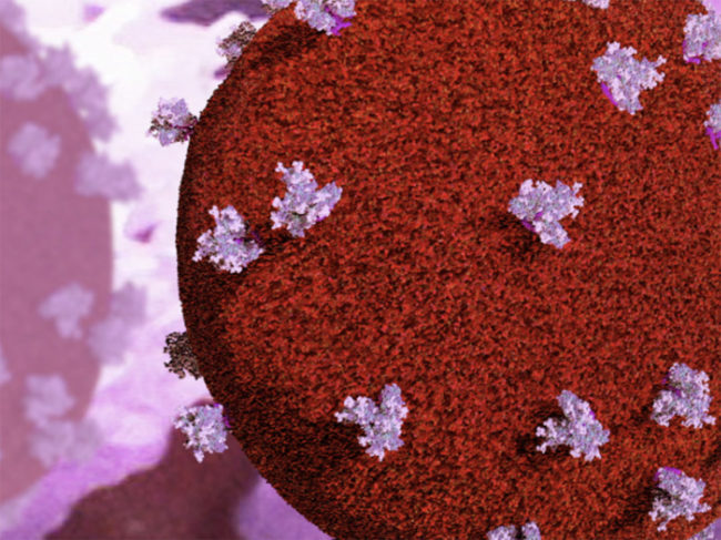 3D illustration of HIV virion