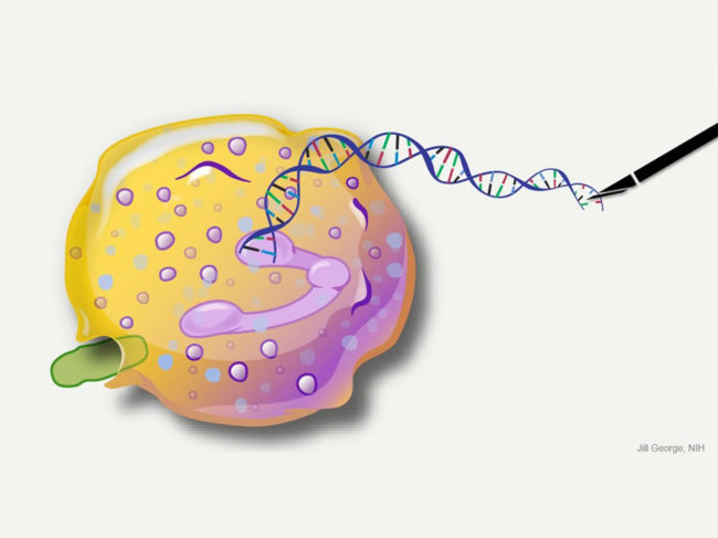 Gene editing illustration