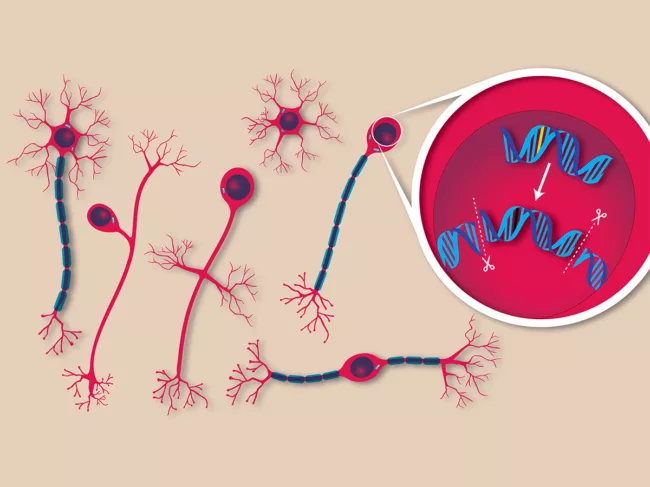 Illustration of gene editing in neurons