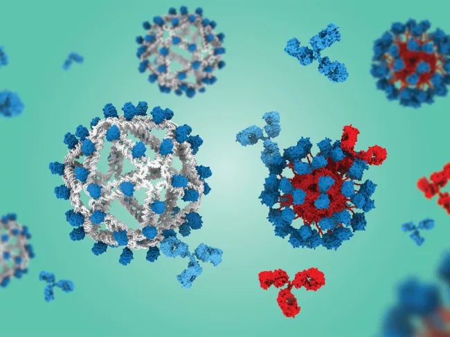 Illustration of DNA-based vaccine for HIV