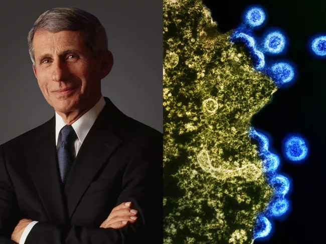 Left: Anthony Fauci. Right: Transmission electron micrograph of HIV-1 virus particles 