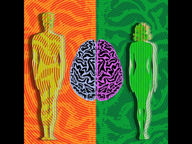 Illustration of brain between man and woman