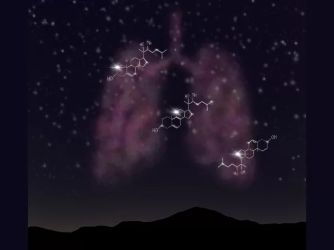 Illustration of lungs in the night sky with molecular structures as stars