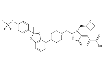 hengrui glp 1 New GLP-1R agonists disclosed in Youngene Therapeutics patent