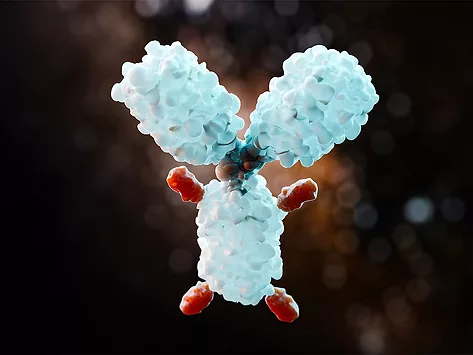 Concept art of an antibody-drug conjugate